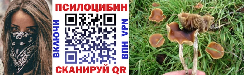 Галлюциногенные грибы GOLDEN TEACHER  Кыштым 